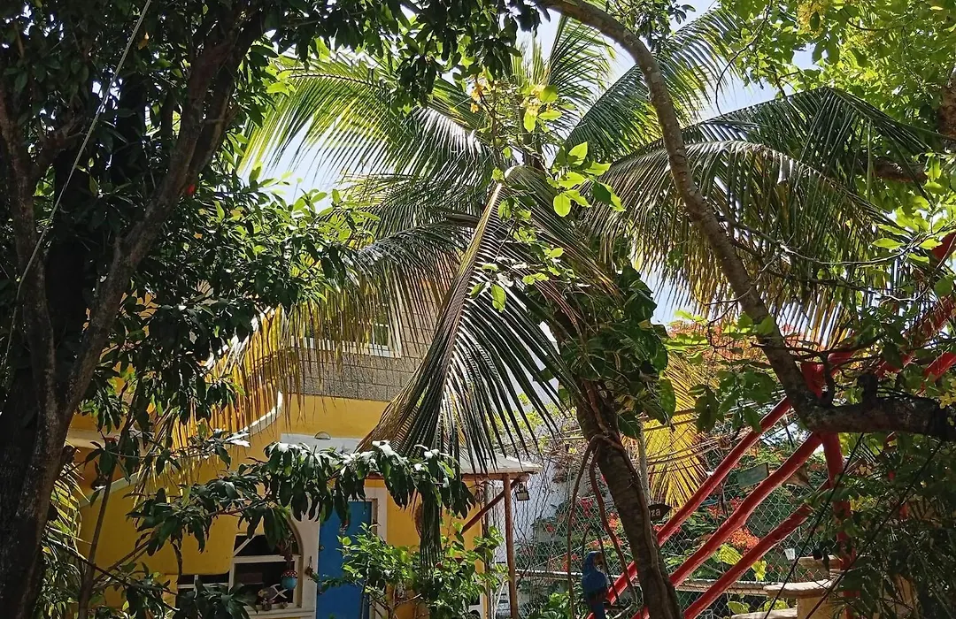 Maison Tulum-1